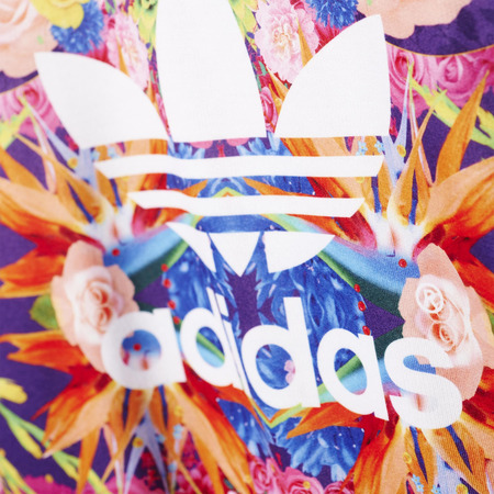 Adidas Originals Junior Sudadera "Garden" (multicolor)