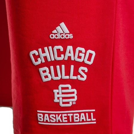 Adidas NBA Short Chicago Bulls Washed (rojo/blanco)