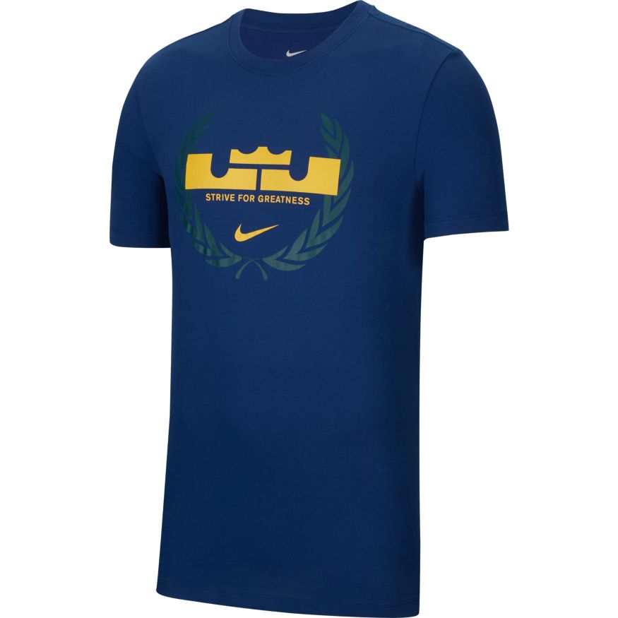 lebron james dri fit shirt