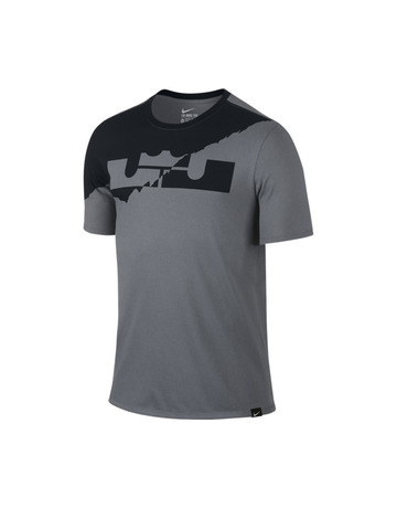 LeBron Split Crown (065/gris/negro)
