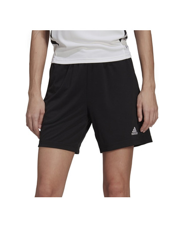 Conductividad Patrocinar Nosotros mismos Adidas Entrada 22 Training Shorts W "Navy"