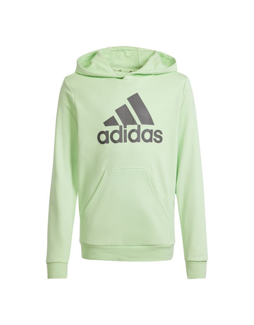 Adidas Junior Big Logo Essentials Cotton Hoodie "Green Mint"