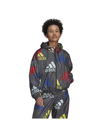 Adidas W Essentials Multi-Colored Logo Loose Fit
