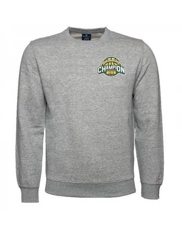 Champion Basketball Graphic Crewneck Sweatshirt "Washington"