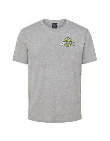 Champion Basketball Graphic Crewneck T-Shirt "Washington"