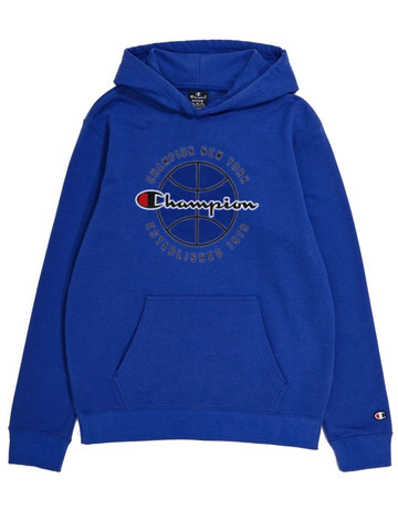 Champion Sport Lifestyle Basketball Modern Hoodie "Blue"