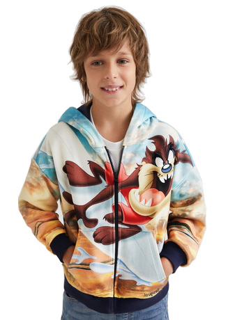 Desigual Junior Looney Tunes Hoodie