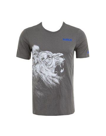 LeBron Camiseta Arch (037/gris/blanco)