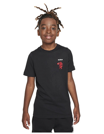 Camiseta nike store lebron james