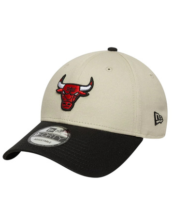Chicago Bulls - manelsanchez.com