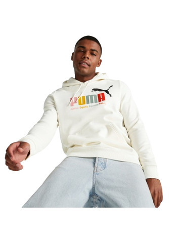Puma ESS+ Multicolor Hoodie FL "Warm White"
