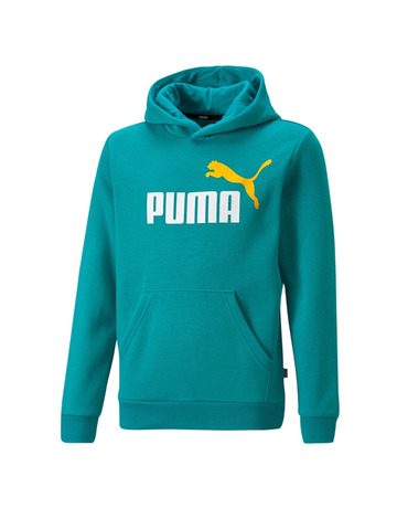 Puma Junior ESS+ 2 Col Big Logo Hoodie FL