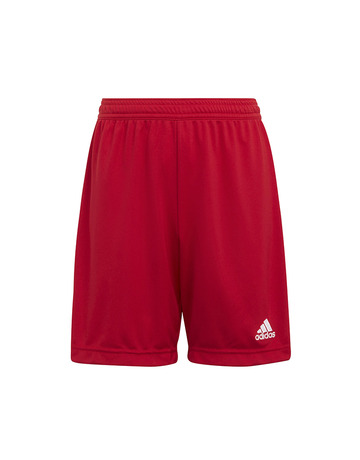 Short Adidas Ent22 y Tepore "Red"