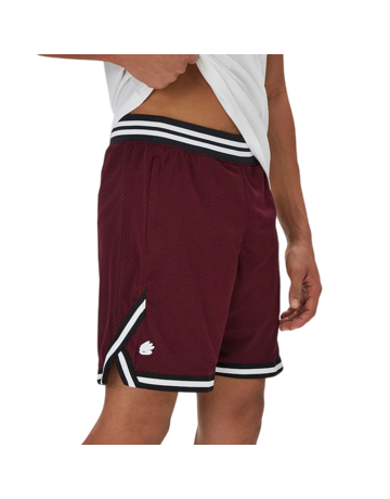 Under Armour Men's Curry Mesh Shorts "Dark Marron"