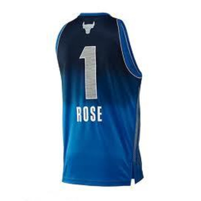 Adidas Camiseta Derrick Rose All Star Este (azul/plata)