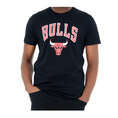 New Era NBA Chicago Bulls Logo Tee # 11 DE ROZAN #