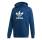 Adidas Originals Trefoil Warm-up Hoodie