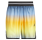 Adidas Short Basket Crazylite AOP 2 "Crew Yellow/Clear Sky"
