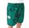 New Era NBA Boston Celtics Team All Over Print Shorts