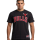Camiseta New Era NBA Chicago Bulls Throwback H1 Pinstriped SS