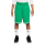 Nike Kids Dri-FIT DNA Basket Short "Stadium Green"