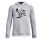 UA Boys Curry Big Splash Hoodie "Mod Gray Light Heather-Black"