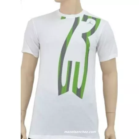 Camiseta Jordan Stretched (blanco/verde)
