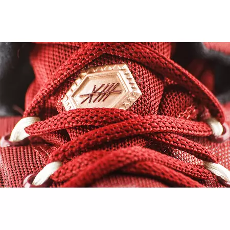 Lebron XIII "Cavaliers" (690/team red/bronze/black)