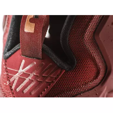 Lebron XIII "Cavaliers" (690/team red/bronze/black)