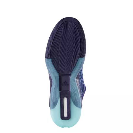 Adidas Crazylight Boost 2.5 Low "Deep P" (púrpura/azul/blanco)