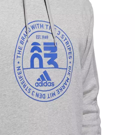 Adidas Basics Emblem Graphic Hoodie