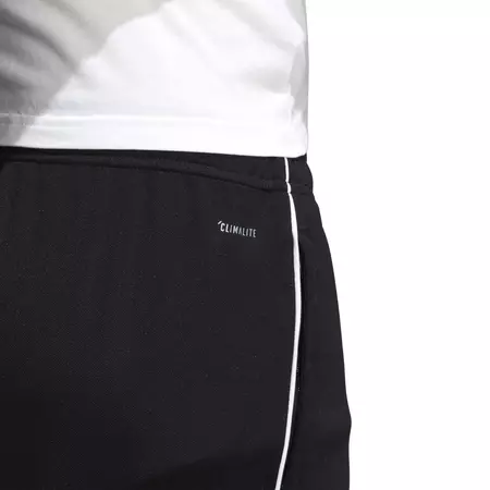 Adidas Core 18 Training Pants