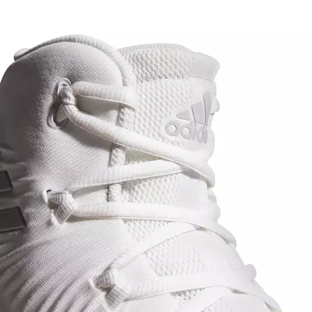 Adidas Crazy Explosive 2017 "White Crystal"