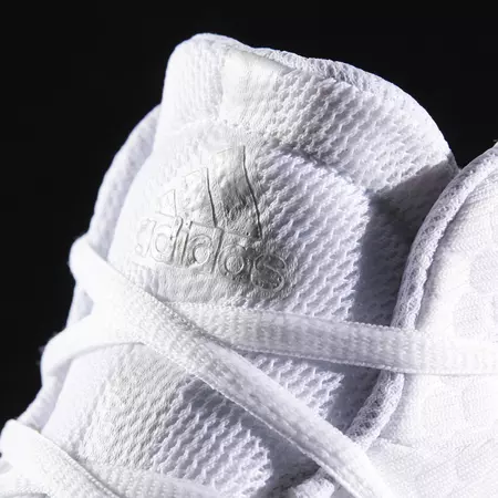Adidas Crazy Explosive 2017 "White Wolf"