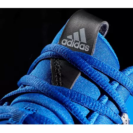 Adidas Crazy Hustle "Royal Flight"