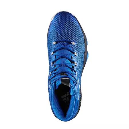 Adidas Crazy Hustle "Royal Flight"