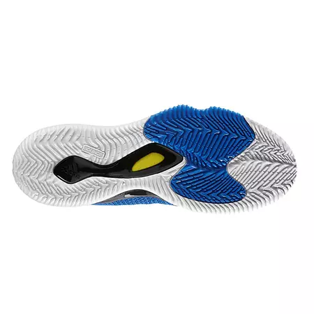 Adidas Crazy Hustle "Royal Flight"
