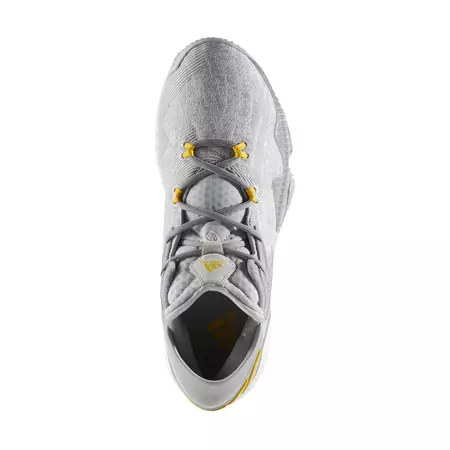 Adidas Crazylight Boost Low 2016 "Solid"