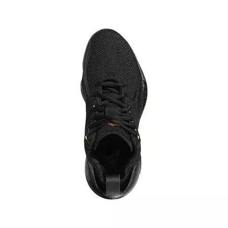 Adidas D Rose 773 2020 "Golden"