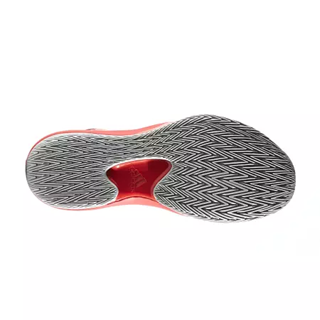 Adidas D Rose Dominate 4 "Garnet"
