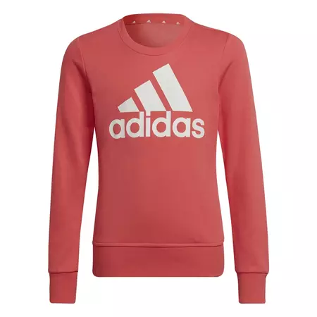 Adidas Kids Essentials Big Logo Sweatshirt