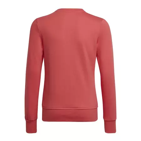 Adidas Kids Essentials Big Logo Sweatshirt