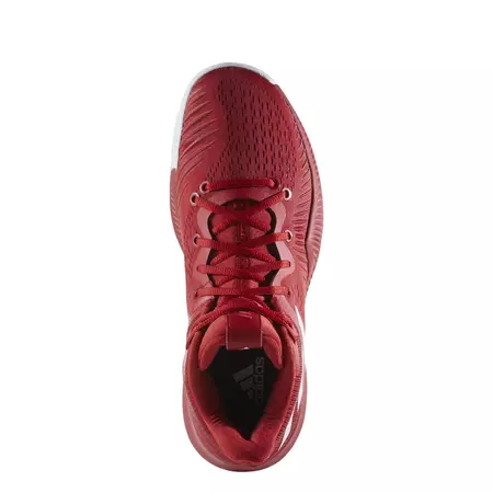 Adidas Mad Bounce "Shengelia"
