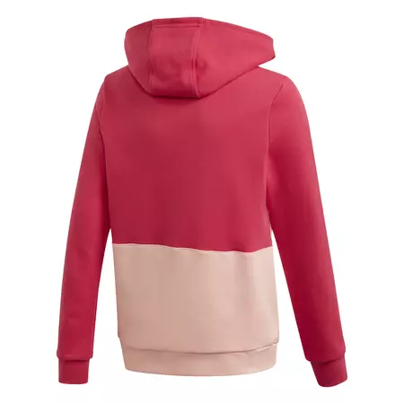 Adidas Originals Junior Big Trefoil Hoodie
