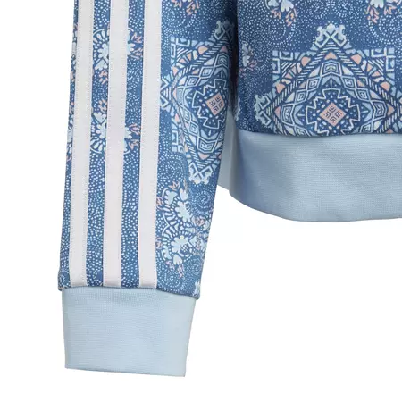 Adidas Originals Girls Culture Class Cropped Hoodie