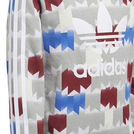Adidas Originals Junior Graphic Soccer Hoodie
