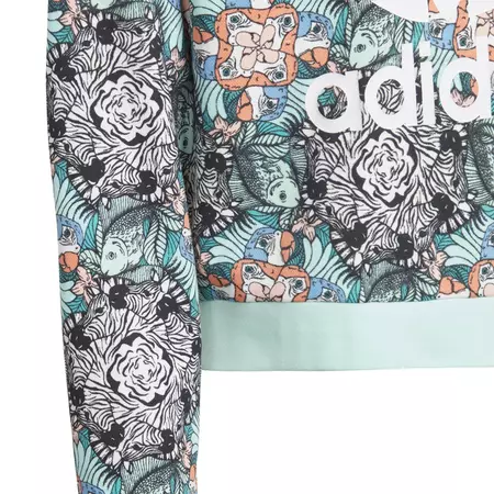 Adidas Originals Junior Zoo Hoodie (Multicolor)