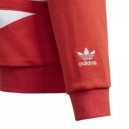 Adidas Originals Junior Big Trefoil Hoodie