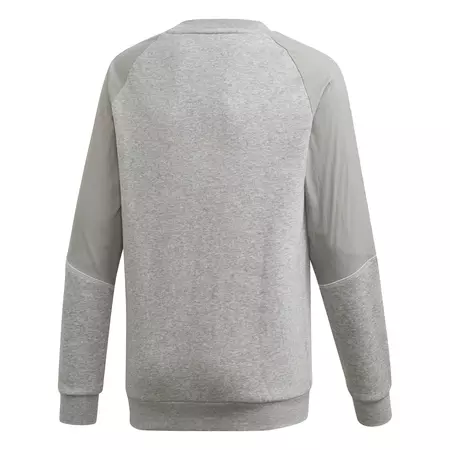 Adidas Originals Junior Radkin Sweatshirt