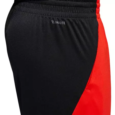 Adidas Pro Bounce Short